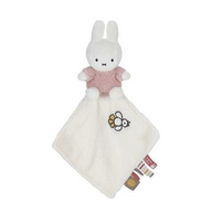 Baby- en Peuterspeelgoed