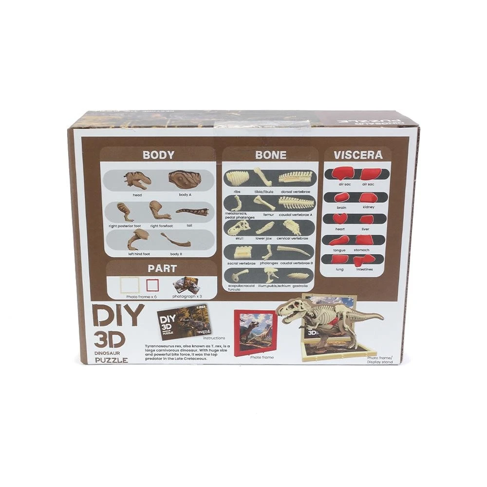 Dino 3D Anatomie - T-rex