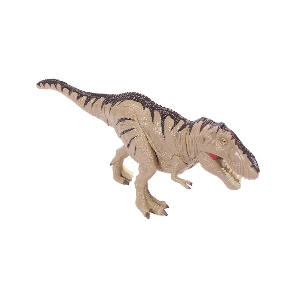 Dino 3D Anatomie - T-rex